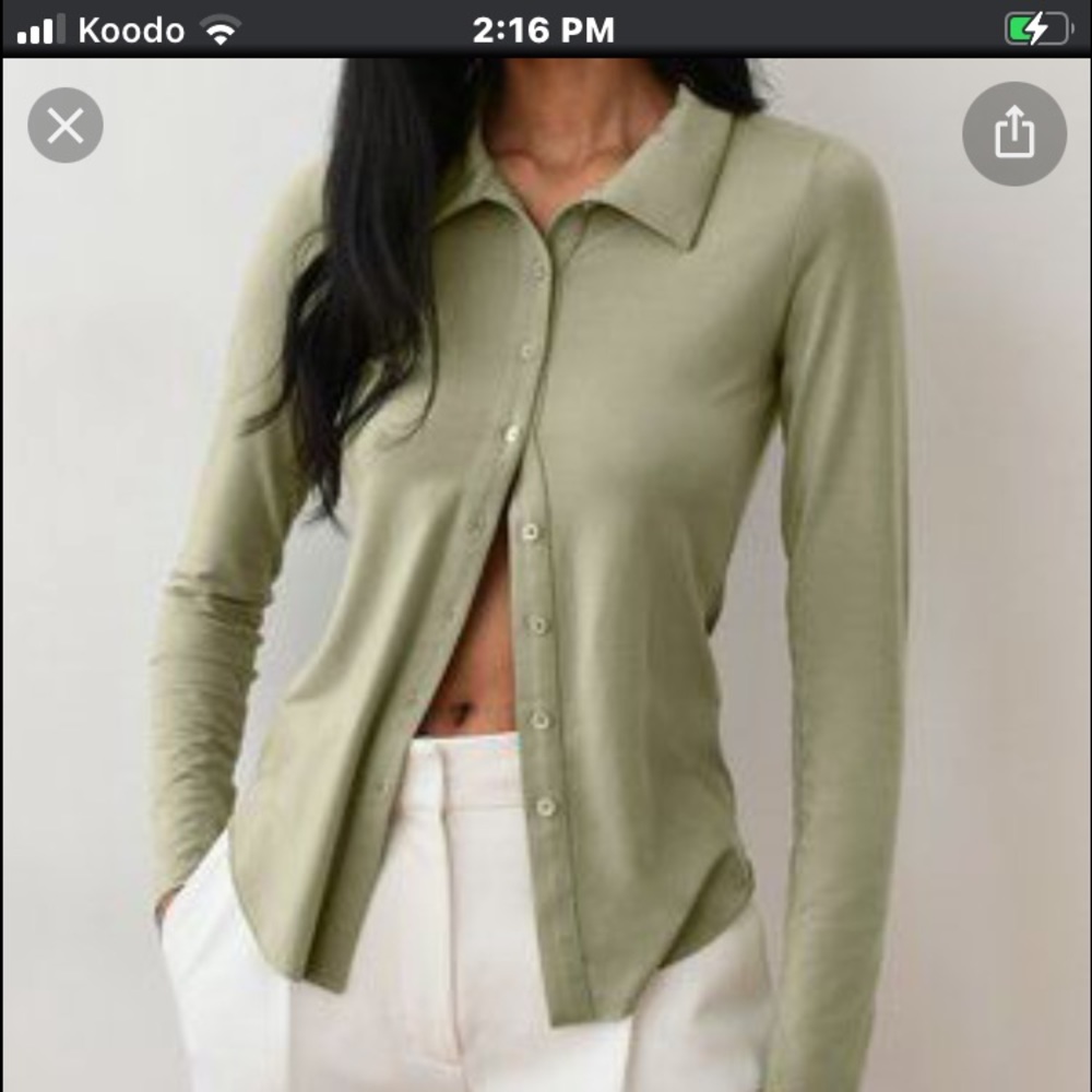 NWT Wilfred moscato blouse (rose hip)